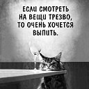 ���� �������, ����, 54 ���� - ��������� 11 �������� 2020 � ������ ������ ��������