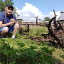 ���� ����, ������, 50 ��� - ��������� 3 ������� 2020 � ������ ���� ����������