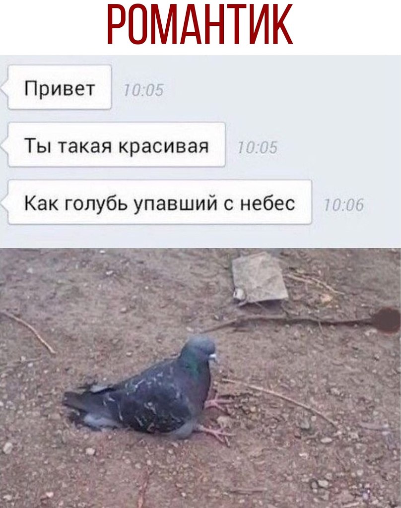 ������ - 28 �������� 2020 � 20:17