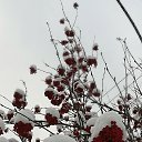 ���� ��������, ��������, 55 ��� - ��������� 6 ������ 2020 � ������ ������ ��������