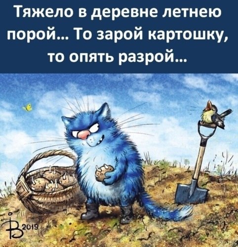   ! - 19  2020  13:22