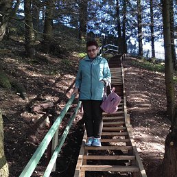 �����, ���������