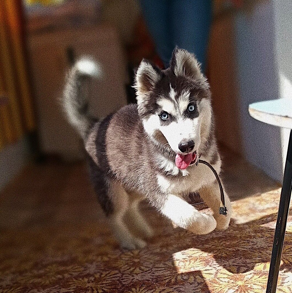 ������ - 13 �������� 2020 � 18:37