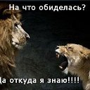 ���� ���, ������ - ��������� 2 ����� 2021 � ������ ������ ��������