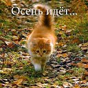 ���� ������, ������� - ��������� 1 �������� 2020