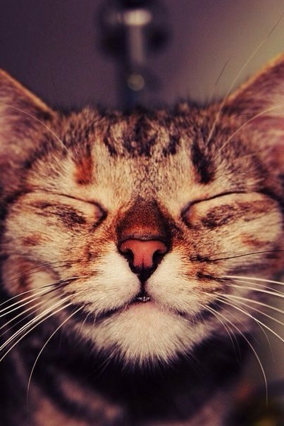   ,           .  ... - 3