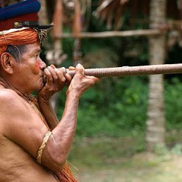 ������, ������, 40 ���