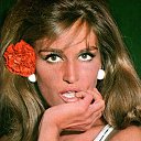 ���� �����, ������ - ��������� 3 ������� 2020 � ������ ���� ����������