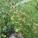 ���� ������, ������, 64 ���� - ��������� 12 �������� 2020 � ������ ���� ����������