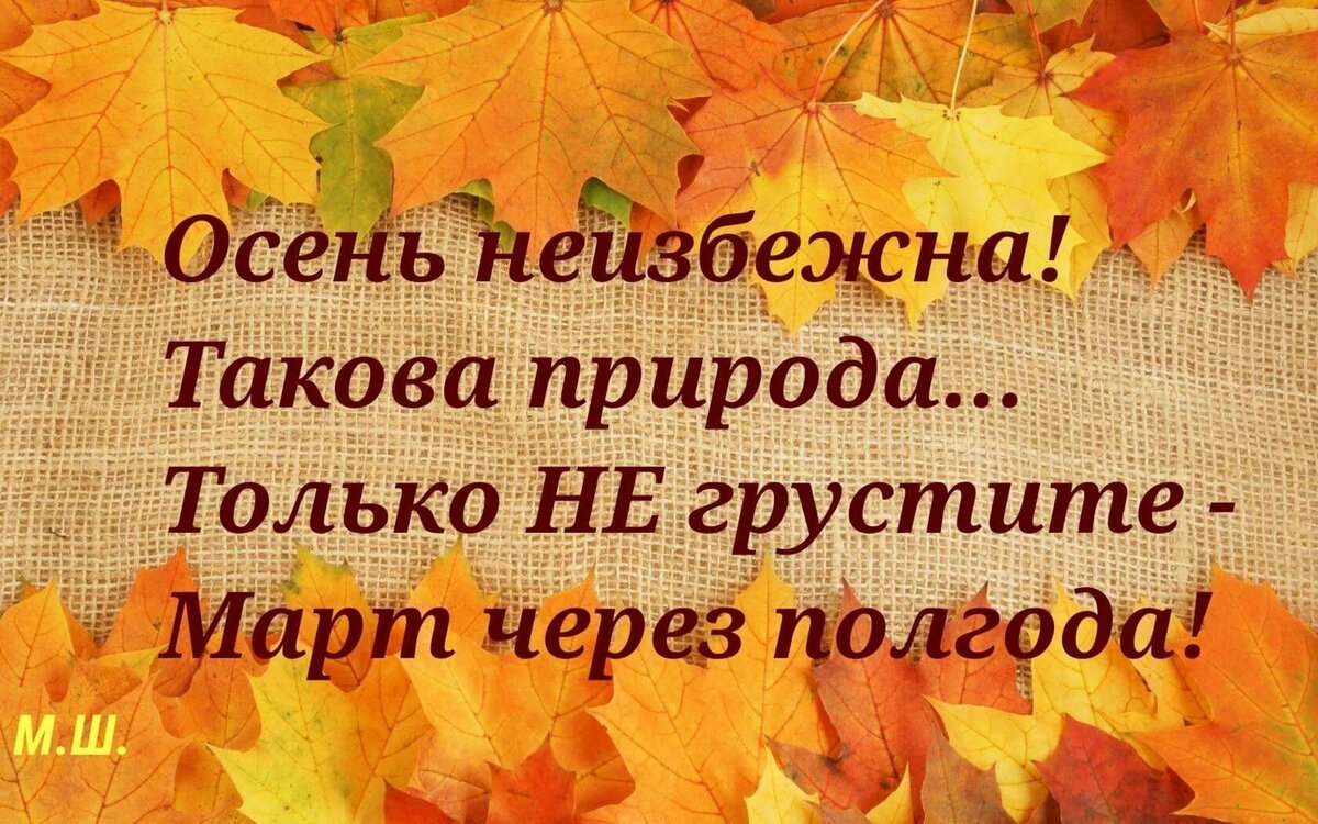 Кто сказал что осень. Осенние каникулы 2021. Осенние цитаты. Высказывания про осень. Цитаты про осень.