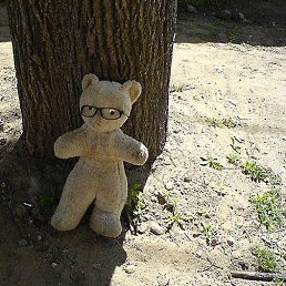 �����, �����, 46 ���