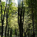 ���� @Skromnaychka@, ������ - ��������� 17 ������� 2020 � ������ ���� ����������