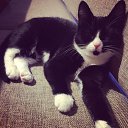  , -, 64  -  18  2021    