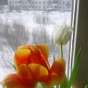 ���� �����, ������ �������� - ��������� 13 ����� 2021 � ������ ���� ����������