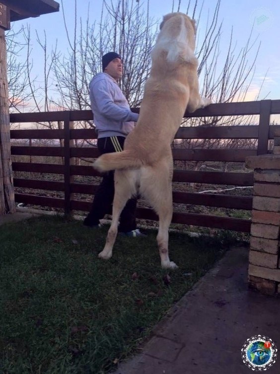 oa coaa oo opoca...  - 7