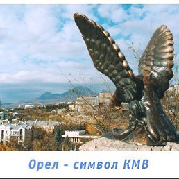 �������, ���������, 49 ���