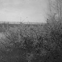  Eugene, , 42  -  27  2020    