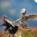 ���� �������, �������, 63 ���� - ��������� 1 ������� 2021 � ������ ���� ����������