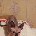 ����)))) �� ������� ���� ����������