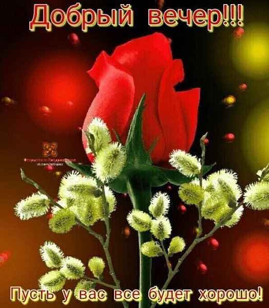   ,    . - 1  2021  19:01