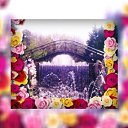 ���� �������, ��������� - ��������� 24 ����� 2021 � ������ ���� �������