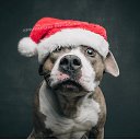 ���� ����, ����, 42 ���� - ��������� 27 ������� 2020 � ������ ���� ����������