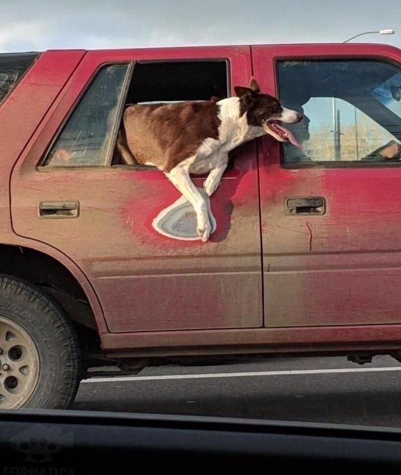 Вещи, которыми пользуются очень давно - 7