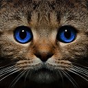 ���� ��������, ������, 46 ��� - ��������� 18 ������� 2021