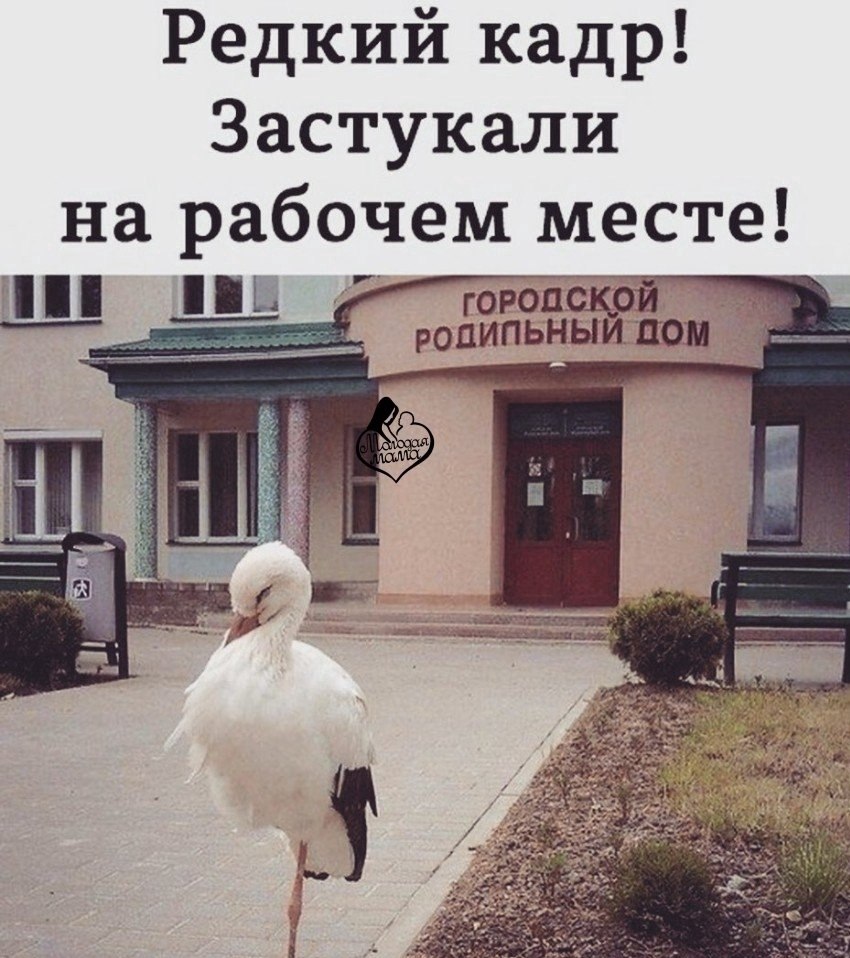 .pCoe o!