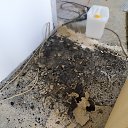���� � �������� �������! �� ������� �������- �� ������ �����.�