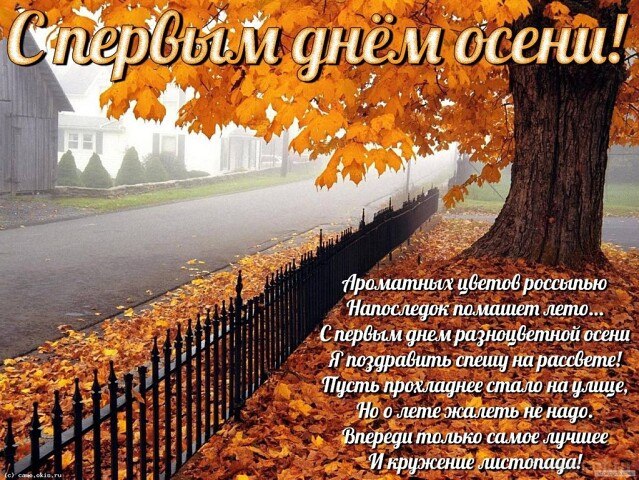 Осень — время мечтать и смотреть разноцветные сны, Запивать холода самым лучшим жасминовым чаем, Не ...