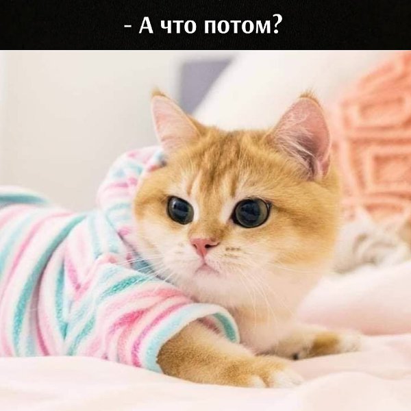 ��� ���� � ����� �� �� - 13 ����� 2021 � 09:34 - 3