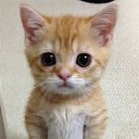  ,  -  7  2020   07.12.2020...   ..