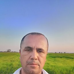 ������, �����-���������, 45 ���