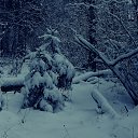 ���� Xacco, ������, 54 ���� - ��������� 19 ����� 2021 � ������ �@photoxacco�