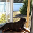 ���� �����, �����-���������, 60 ��� - ��������� 12 ����� 2021 � ������ ���� ����������