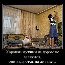 ���� ���������, ������ - ��������� 9 ������� 2020 � ������ ���� ����������