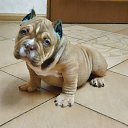 ��������� ���������� ����� �� ������� ���� ����������