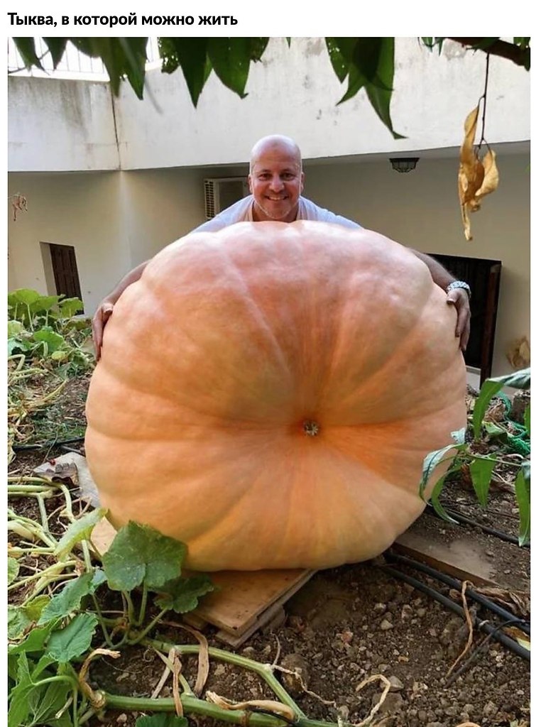 o pa ee a:
