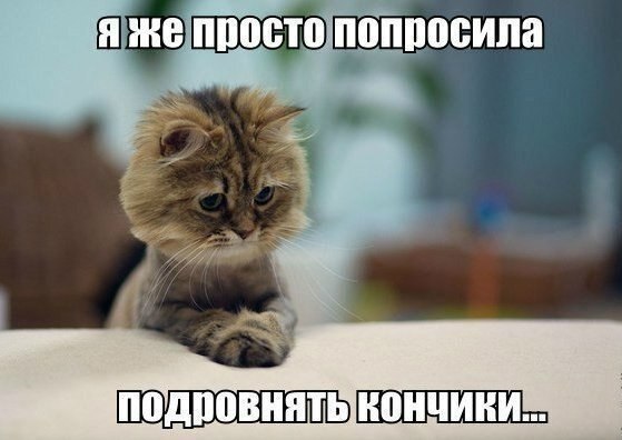    - 6  2021  20:25