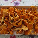 ����� ��� �� ����������� � ����... �� ������� ����������, �����...�