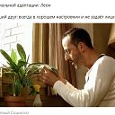 ���� Julia, �������� - ��������� 20 ����� 2021 � ������ ������ ��������