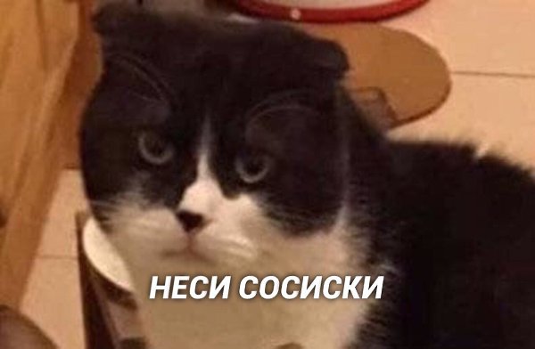   ... - 2