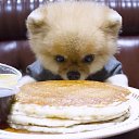 ���� Arcanum Persona, ������ - ��������� 5 ������� 2020 � ������ ���� ����������