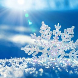 ���, ��������, 40 ���