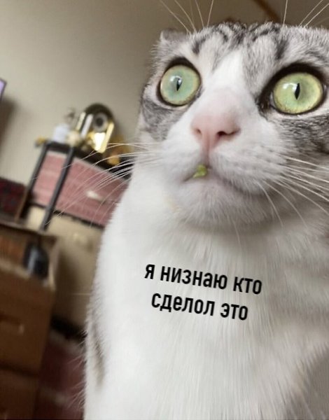 ,       - 2