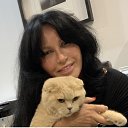  Gala, , 60  -  20  2020    