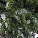 ������ ���� ������� ��� �����... �� ������� ��� ����...�