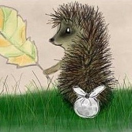 ��������, ��������, 45 ���