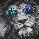 ���� ���, ������ - ��������� 16 ������� 2021 � ������ ���� ����������